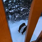 Alpehytte La-haut