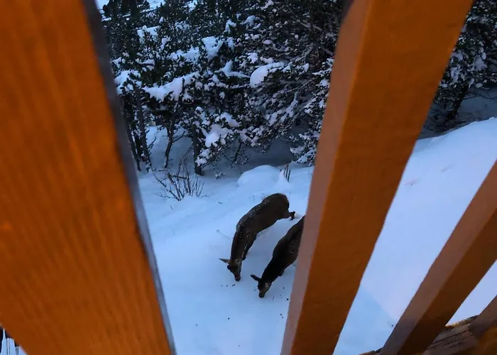 Chalet Là-haut